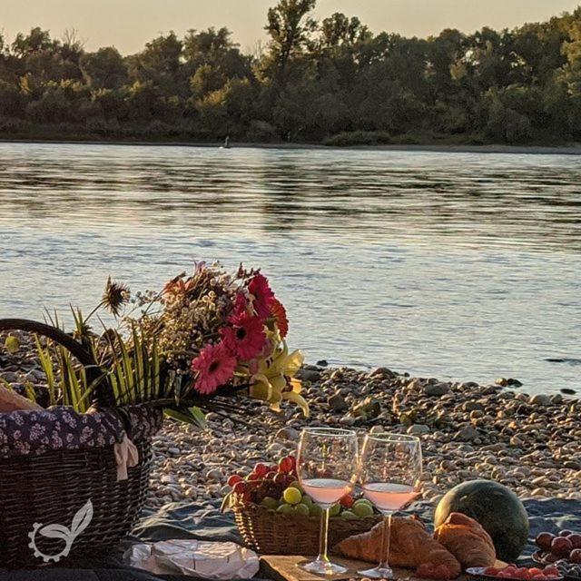 Willa Sunrise Kube Hainburg an der Donau Zewnętrze zdjęcie